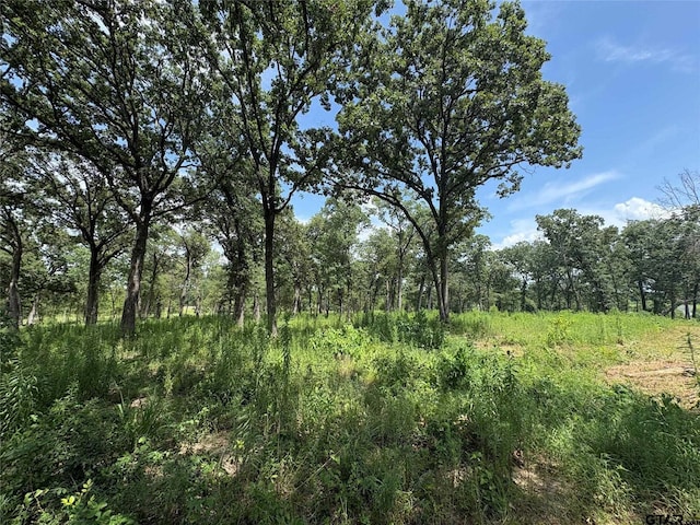 579 County Road 1843, Yantis, TX 75497 - photo 9