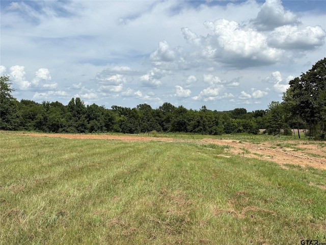 579 County Road 1843, Yantis, TX 75497 - photo 14