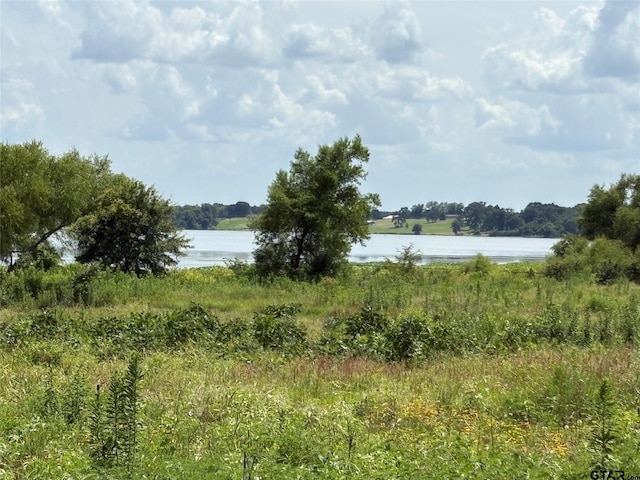 579 County Road 1843, Yantis, TX 75497 - photo 1