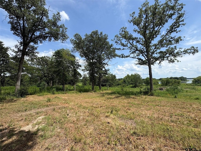 579 County Road 1843, Yantis, TX 75497 - photo 5