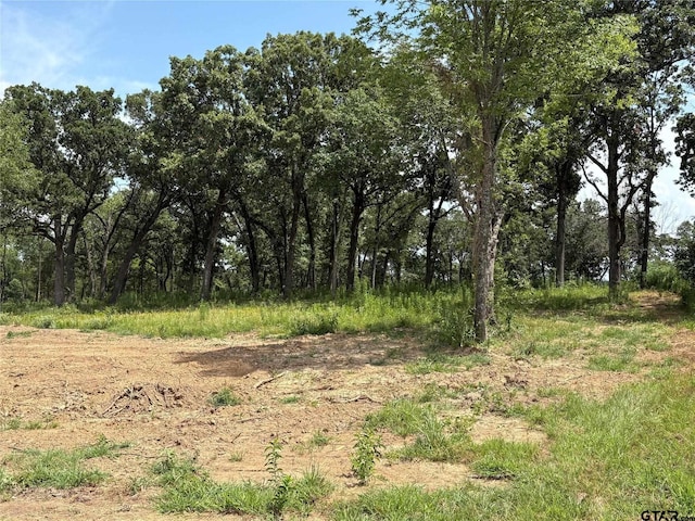 579 County Road 1843, Yantis, TX 75497 - photo 3