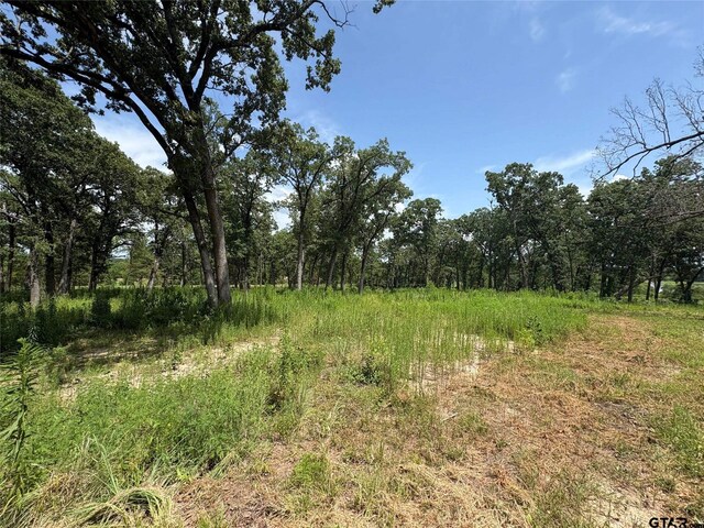 579 County Road 1843, Yantis, TX 75497 - photo 8