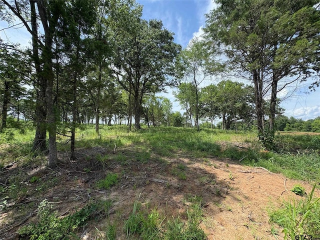579 County Road 1843, Yantis, TX 75497 - photo 10