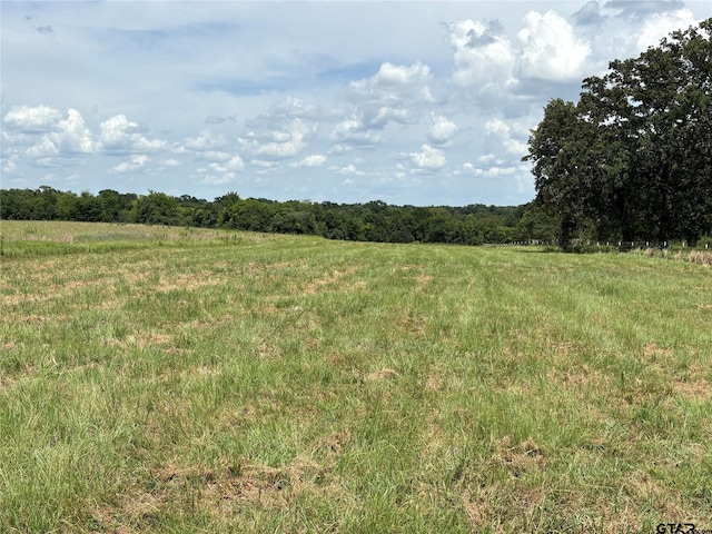 579 County Road 1843, Yantis, TX 75497 - photo 15