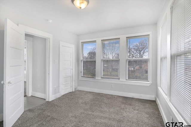 unfurnished bedroom featuring carpet floors