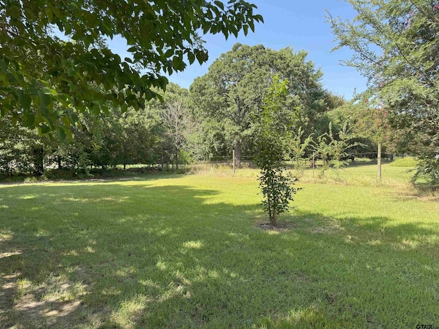 3087 Payne St, Wills Point, TX 75169 - photo 32