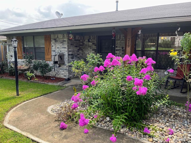 219 Lockhart St, Pittsburg, TX 75686 - doorway to property with covered porch, a shingled roof, and brick siding