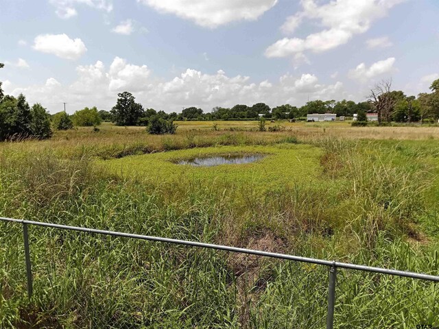 11488 State Highway 110, Van, TX 75790 - photo 3