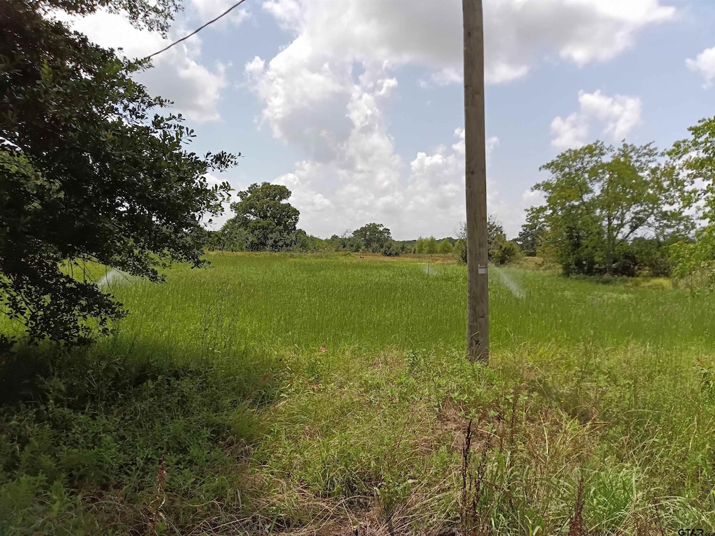 11488 State Highway 110, Van, TX 75790 - photo 2