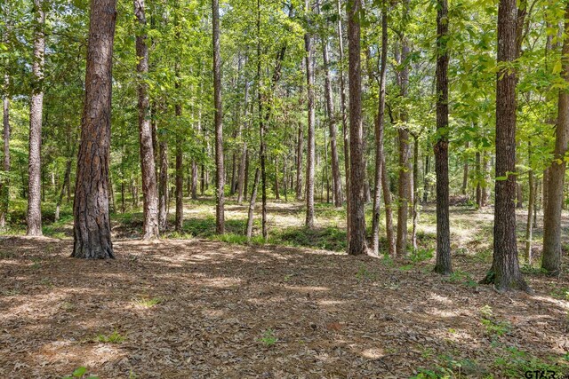 18076 Deer Trl, Flint, TX 75762 - photo 43