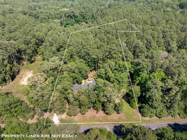 18076 Deer Trl, Flint, TX 75762 - photo 44