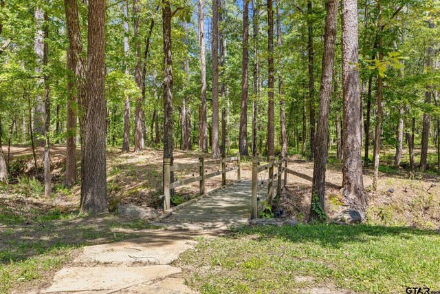 18076 Deer Trl, Flint, TX 75762 - photo 41