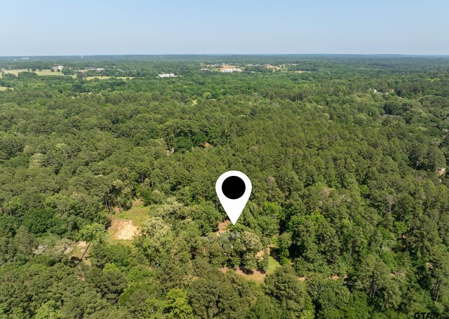 18076 Deer Trl, Flint, TX 75762 - photo 45