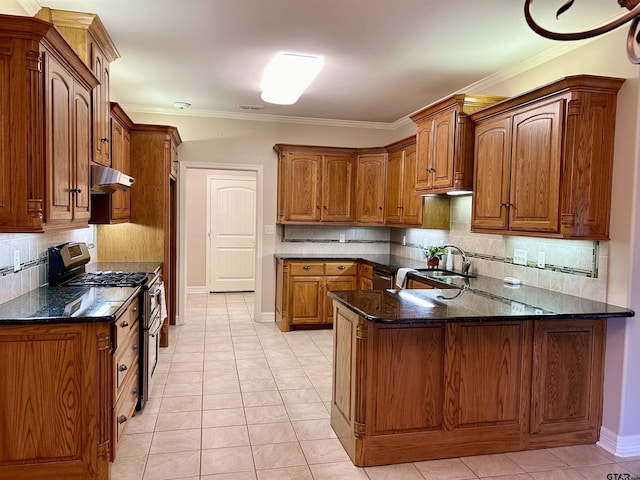 kitchen featuring a peninsula, crown molding, under cabinet range hood, a sink, and gas stove