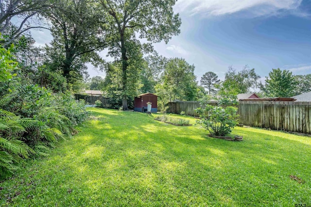 view of yard with a storage shed