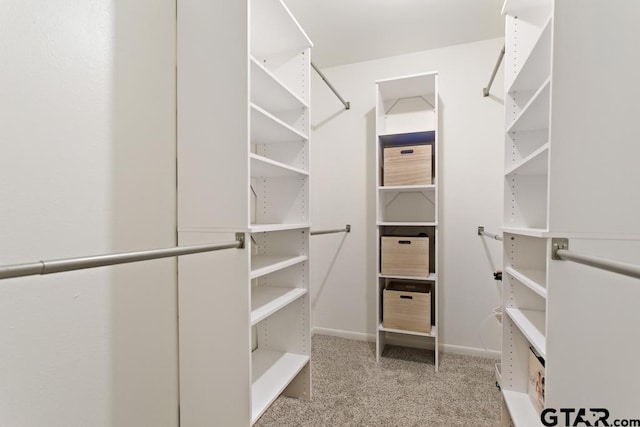 walk in closet with light carpet