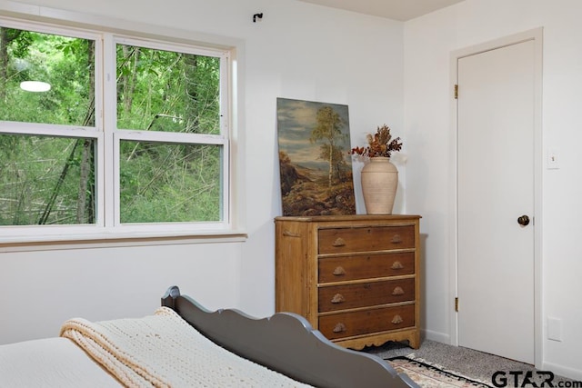 view of carpeted bedroom