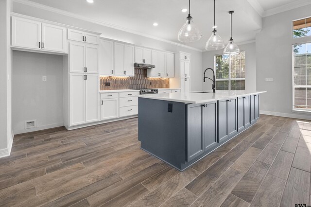 kitchen with wood finished floors, a sink, a kitchen island with sink, light countertops, and white cabinets