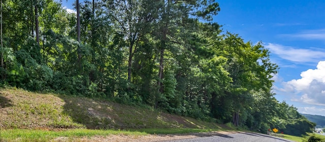 2605 Interstate 20 W, Tyler, TX 75706 - photo 4