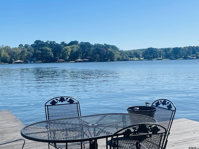 dock area with a water view