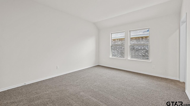 490 Burnett Trl, Canton, TX 75103 - spare room with carpet flooring and lofted ceiling