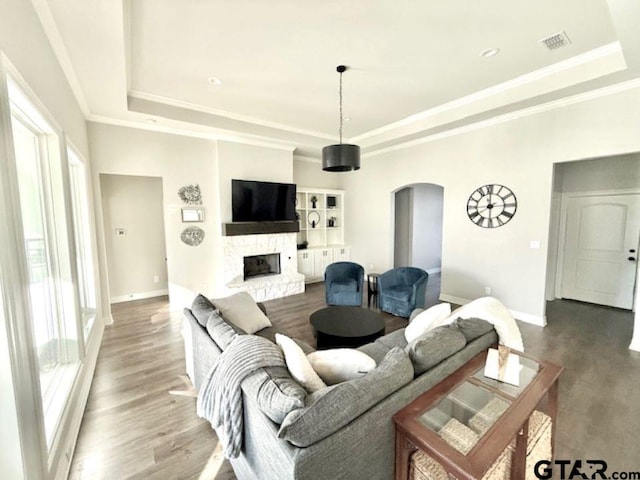 living room featuring a healthy amount of sunlight, a raised ceiling, hardwood / wood-style flooring, and a stone fireplace