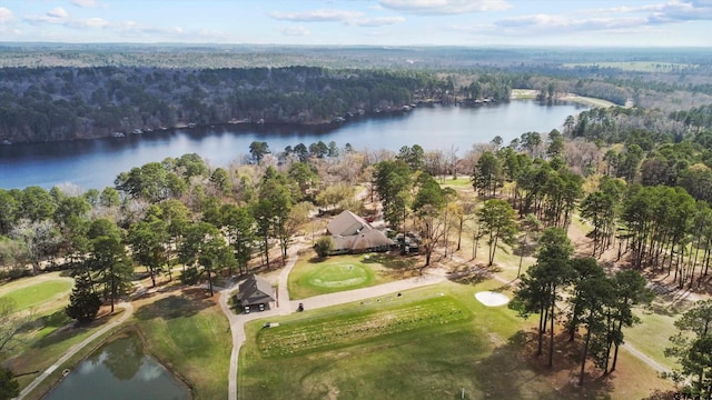 109 Golf Dr, Holly Lake Ranch, TX 75765 - photo 26
