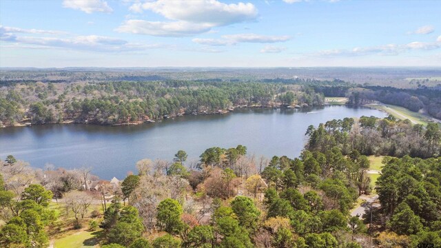109 Golf Dr, Holly Lake Ranch, TX 75765 - photo 23