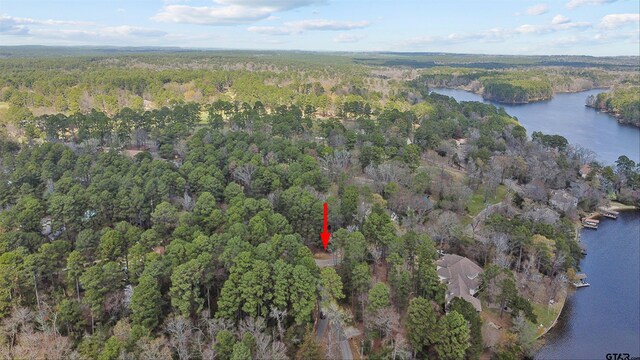 109 Golf Dr, Holly Lake Ranch, TX 75765 - photo 24