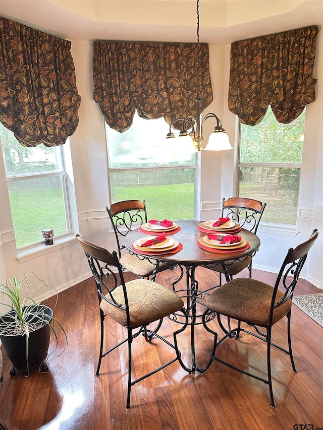 dining room with hardwood / wood-style floors