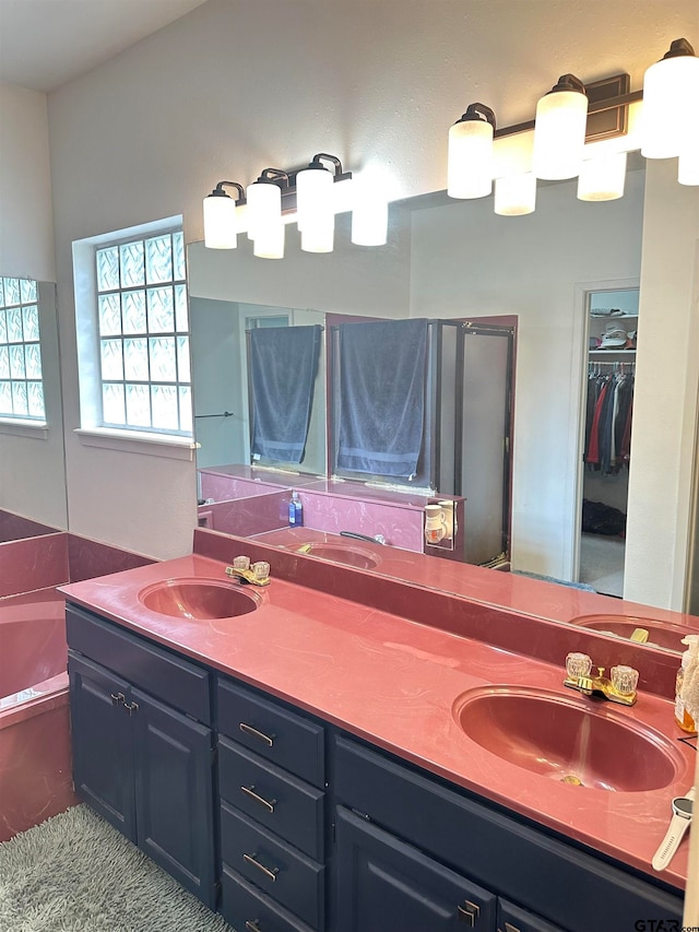 bathroom with vanity and a bathing tub