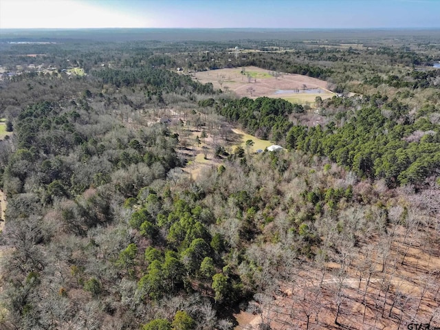 2833 Fm 1801, Mineola, TX 75773 - photo 47