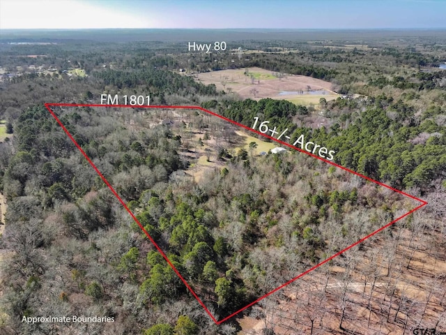 2833 Fm 1801, Mineola, TX 75773 - photo 2