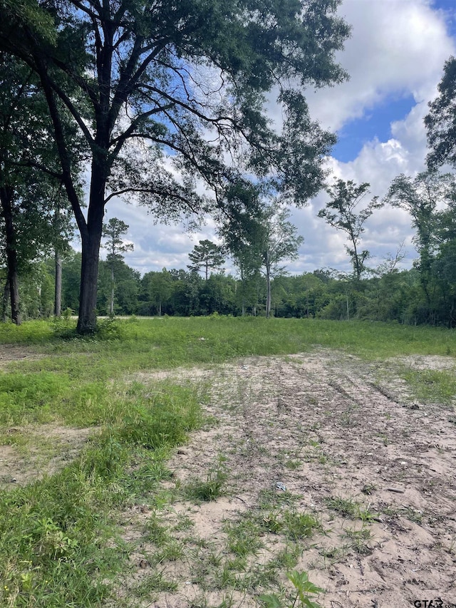 7560 State Highway 154 E, Gilmer, TX 75644 - photo 6