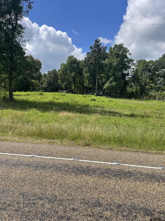 7560 State Highway 154 E, Gilmer, TX 75644 - photo 7