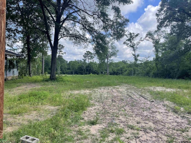7560 State Highway 154 E, Gilmer, TX 75644 - photo 2