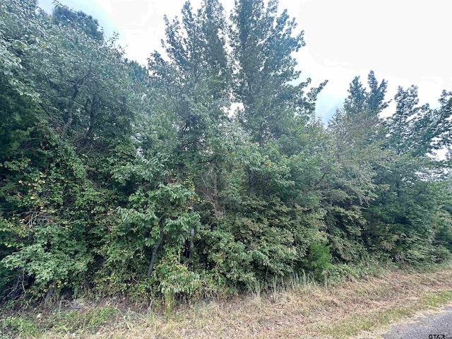 Listing photo 3 for TRACT1 Woodchuck Rd, Winnsboro TX 75494