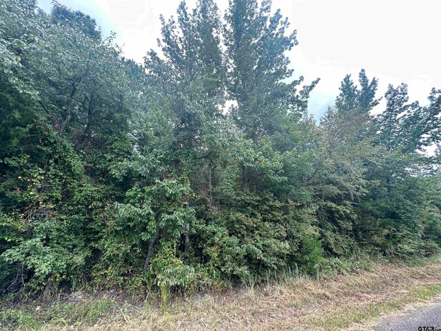 TRACT1 Woodchuck Rd, Winnsboro, TX 75494