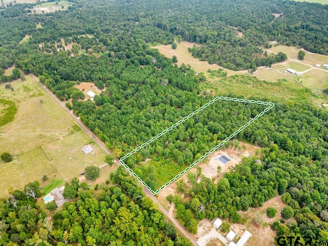 TRACT1 Woodchuck Rd, Winnsboro, TX 75494