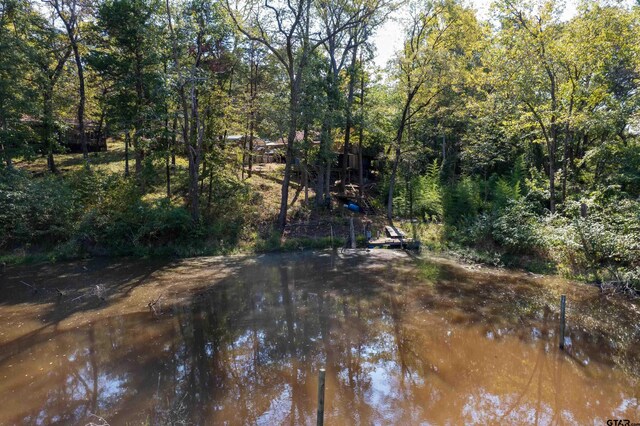 228 Albatross Dr, Winnsboro, TX 75494 - photo 4