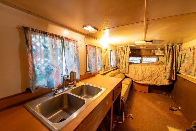 kitchen featuring a healthy amount of sunlight, carpet flooring, and sink