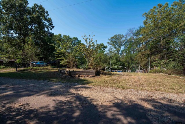 228 Albatross Dr, Winnsboro, TX 75494 - photo 36