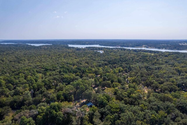228 Albatross Dr, Winnsboro, TX 75494 - photo 42