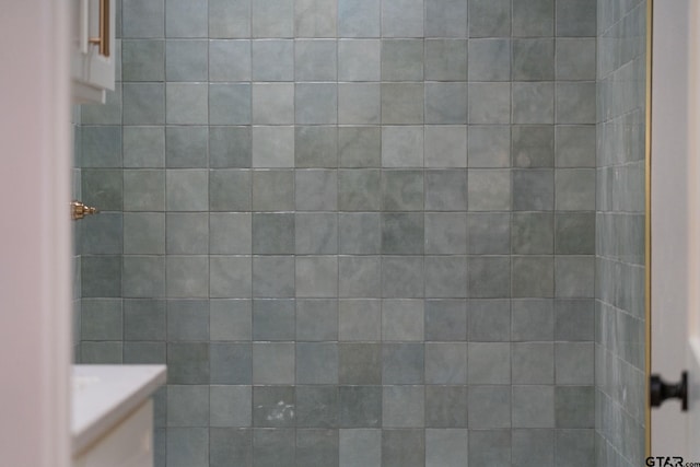 304 Hanks St, Whitehouse, TX 75791 - bathroom with a shower
