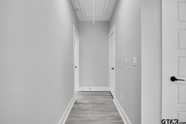 hallway featuring light hardwood / wood-style flooring