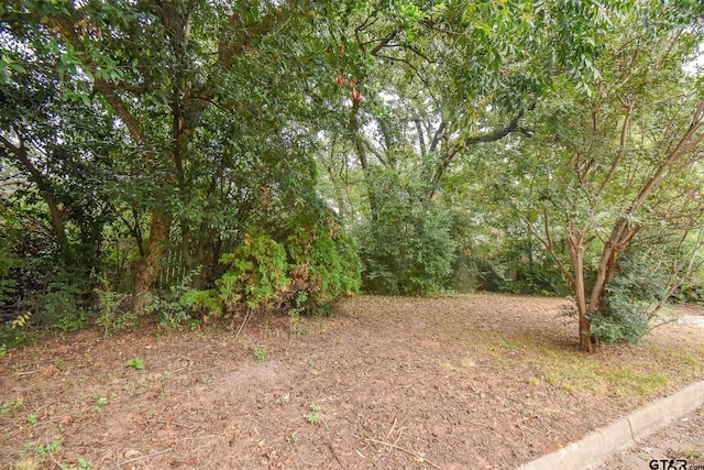 Listing photo 2 for TBD Pollard Dr, Tyler TX 75701