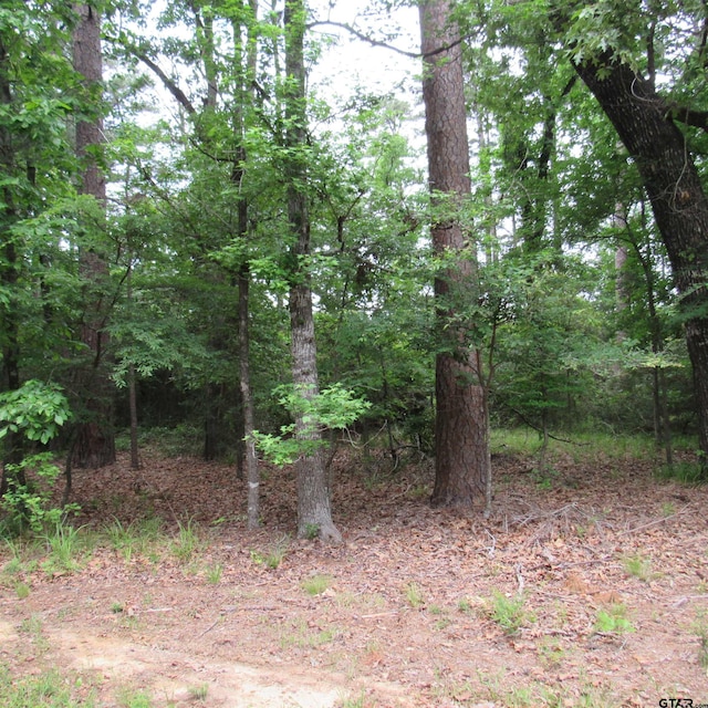 Listing photo 3 for TBD Rolling Rdg, Holly Lake Ranch TX 75765