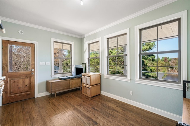 office featuring dark hardwood / wood-style floors and ornamental molding