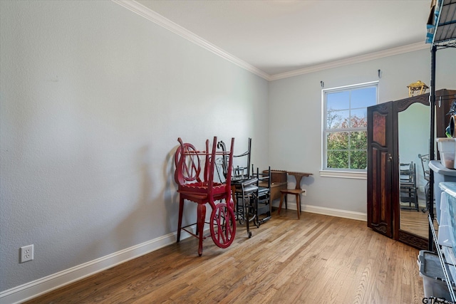 office space featuring ornamental molding and light wood-type flooring