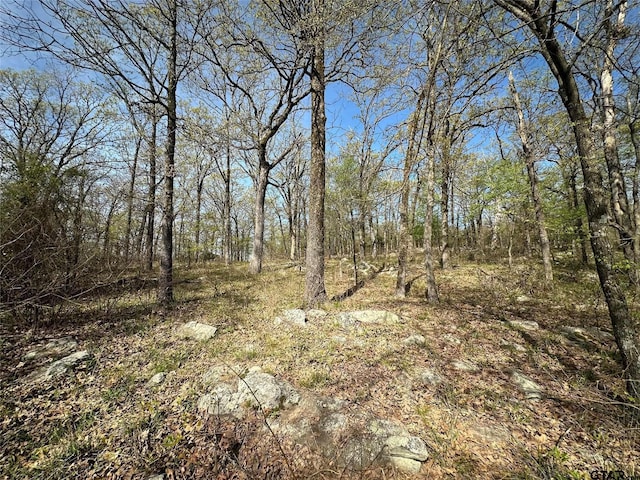 0000 County Road 3641, Sulphur Springs, TX 75482 - photo 2